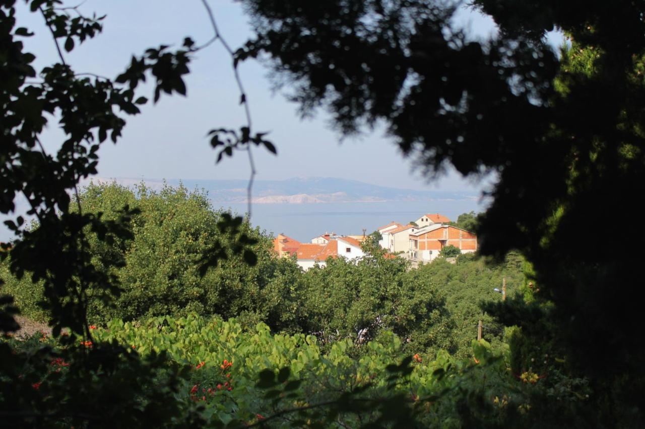 Apartments And Rooms With Parking Space Klenovica, Novi Vinodolski - 5590 Екстер'єр фото